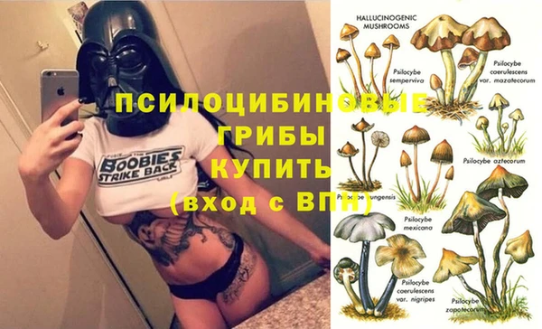 не бодяженный Белокуриха