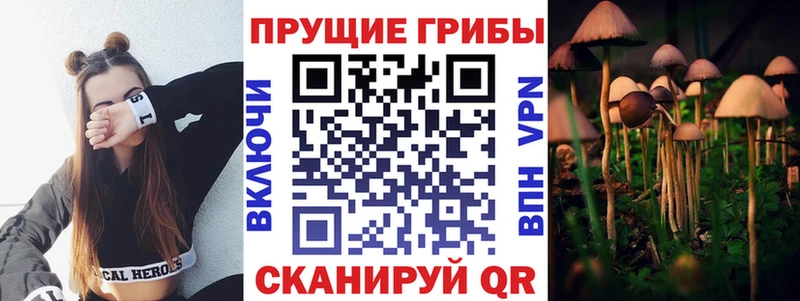 Галлюциногенные грибы Magic Shrooms Вяземский
